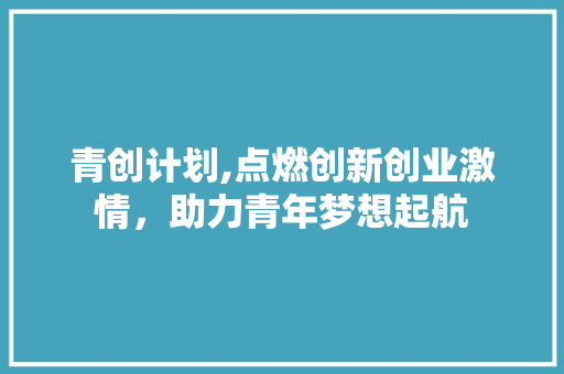 青创计划,点燃创新创业激情，助力青年梦想起航