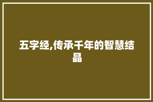 五字经,传承千年的智慧结晶