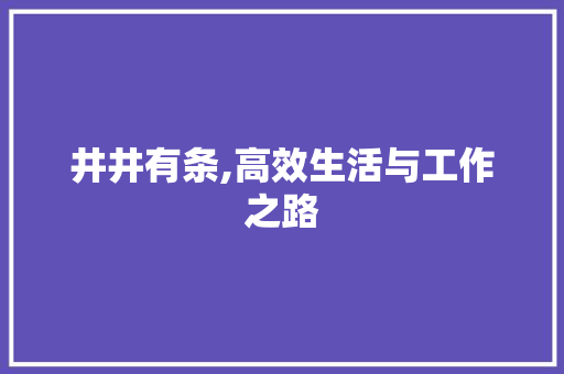 井井有条,高效生活与工作之路