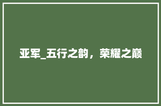 亚军_五行之韵，荣耀之巅