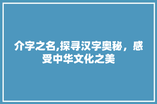 介字之名,探寻汉字奥秘，感受中华文化之美