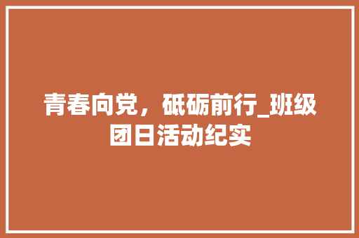 青春向党，砥砺前行_班级团日活动纪实 工作总结