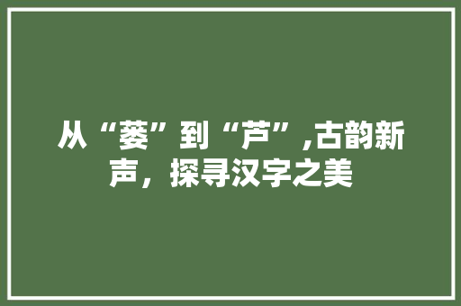 从“蒌”到“芦”,古韵新声，探寻汉字之美