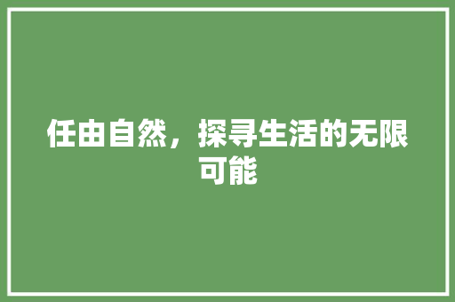 任由自然，探寻生活的无限可能