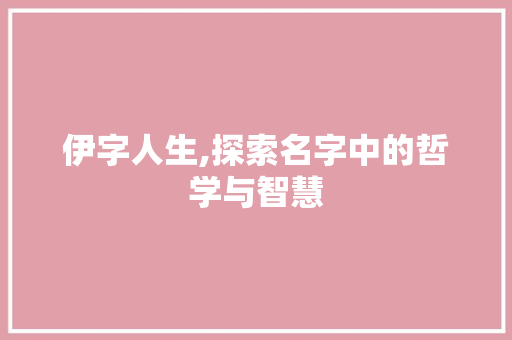 伊字人生,探索名字中的哲学与智慧