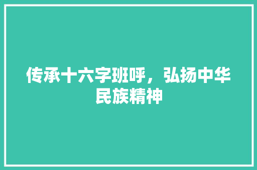 传承十六字班呼，弘扬中华民族精神