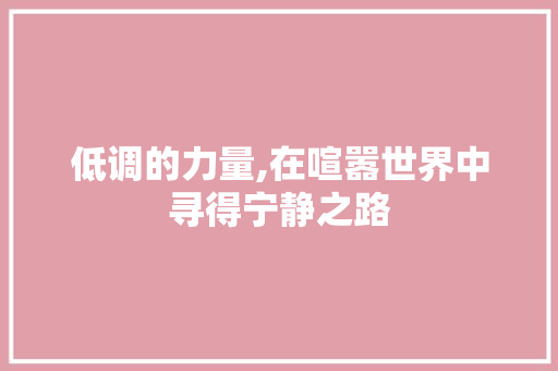 低调的力量,在喧嚣世界中寻得宁静之路