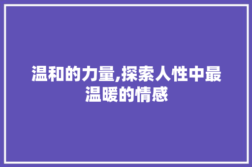 温和的力量,探索人性中最温暖的情感