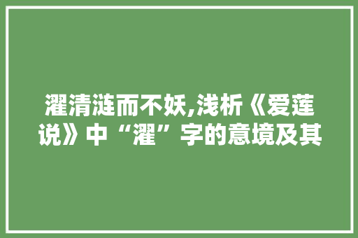濯清涟而不妖,浅析《爱莲说》中“濯”字的意境及其哲理