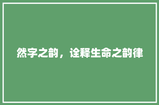 然字之韵，诠释生命之韵律
