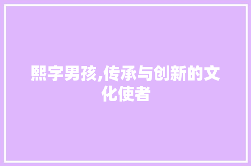 熙字男孩,传承与创新的文化使者 工作总结