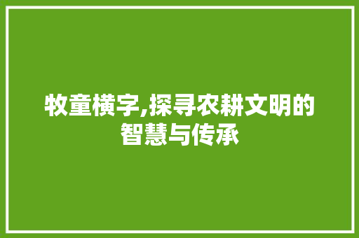 牧童横字,探寻农耕文明的智慧与传承
