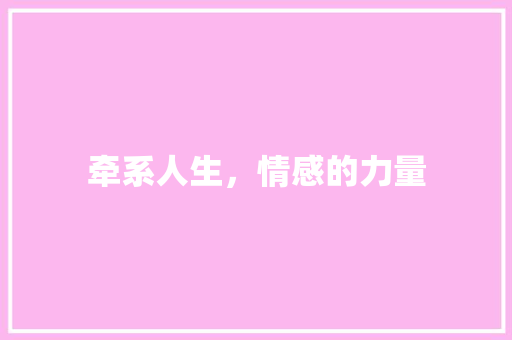 牵系人生，情感的力量