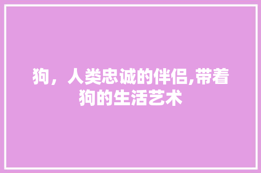 狗，人类忠诚的伴侣,带着狗的生活艺术