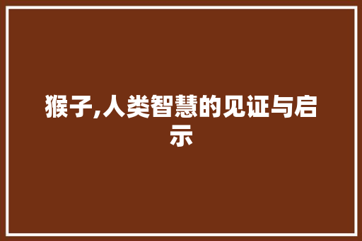 猴子,人类智慧的见证与启示