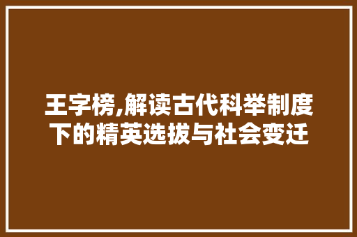 王字榜,解读古代科举制度下的精英选拔与社会变迁