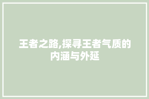 王者之路,探寻王者气质的内涵与外延