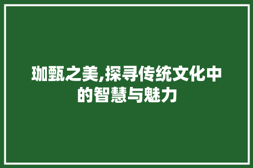 珈甄之美,探寻传统文化中的智慧与魅力 个人简历