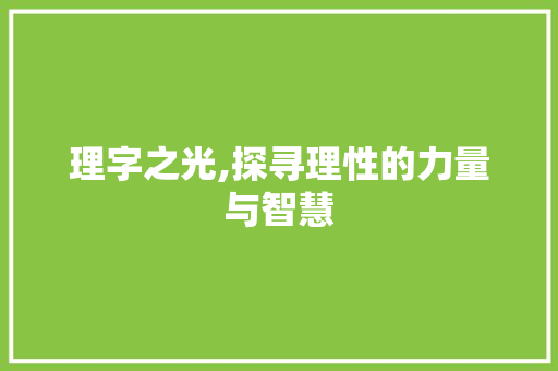 理字之光,探寻理性的力量与智慧