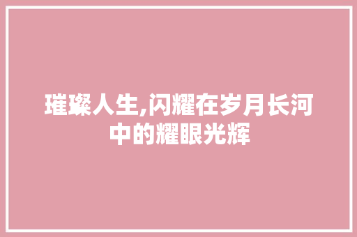璀璨人生,闪耀在岁月长河中的耀眼光辉