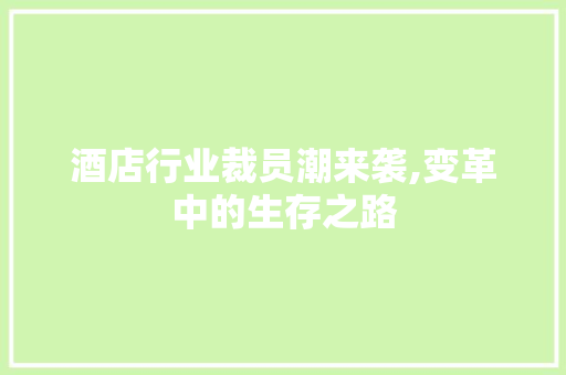 酒店行业裁员潮来袭,变革中的生存之路 演讲稿