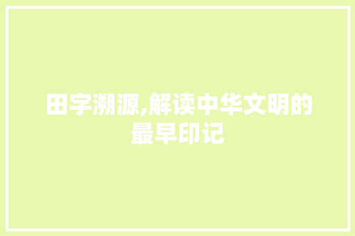 田字溯源,解读中华文明的最早印记