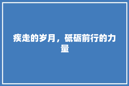 疾走的岁月，砥砺前行的力量
