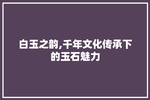 白玉之韵,千年文化传承下的玉石魅力