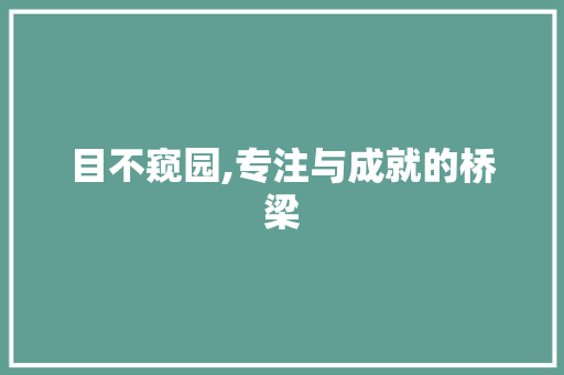 目不窥园,专注与成就的桥梁
