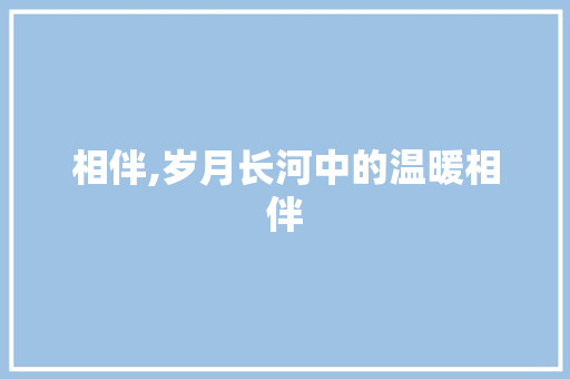 相伴,岁月长河中的温暖相伴