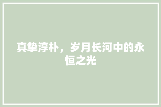 真挚淳朴，岁月长河中的永恒之光
