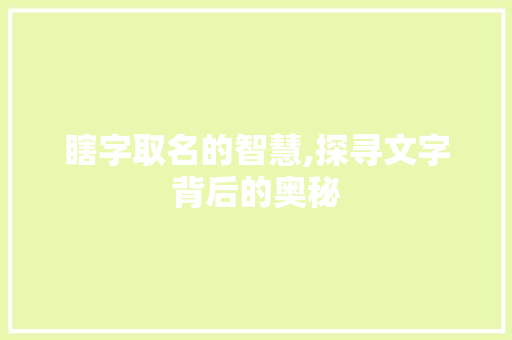 瞎字取名的智慧,探寻文字背后的奥秘