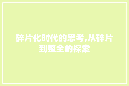 碎片化时代的思考,从碎片到整全的探索