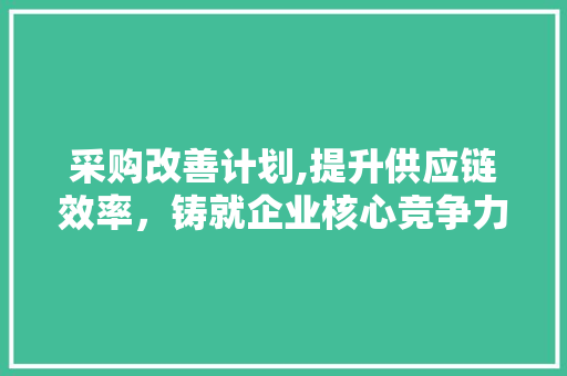 采购改善计划,提升供应链效率，铸就企业核心竞争力