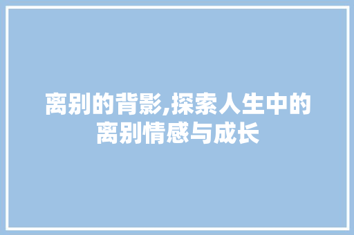 离别的背影,探索人生中的离别情感与成长