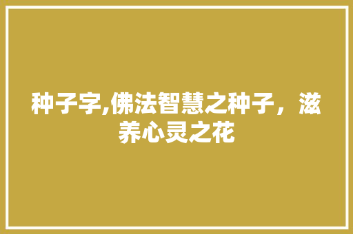 种子字,佛法智慧之种子，滋养心灵之花