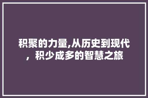 积聚的力量,从历史到现代，积少成多的智慧之旅