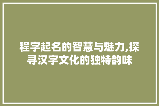 程字起名的智慧与魅力,探寻汉字文化的独特韵味