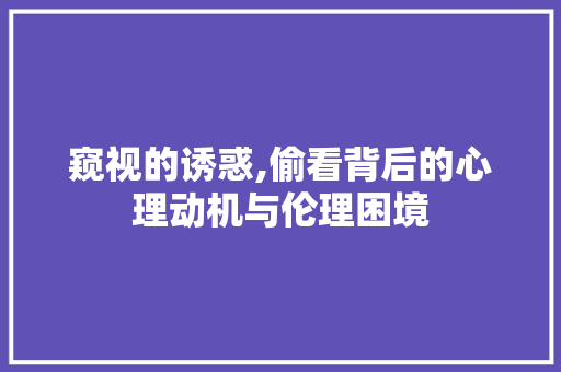 窥视的诱惑,偷看背后的心理动机与伦理困境 个人简历
