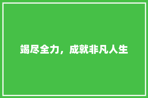 竭尽全力，成就非凡人生