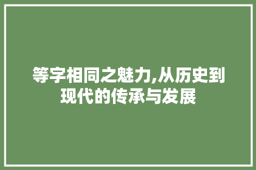等字相同之魅力,从历史到现代的传承与发展