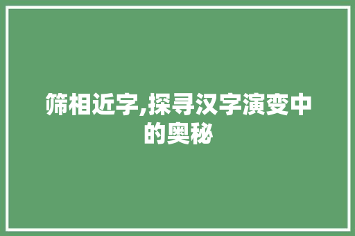 筛相近字,探寻汉字演变中的奥秘