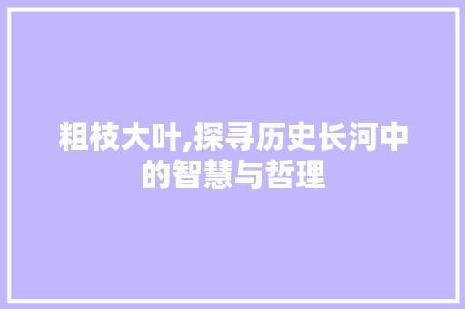 粗枝大叶,探寻历史长河中的智慧与哲理