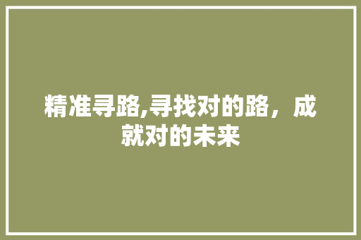 精准寻路,寻找对的路，成就对的未来