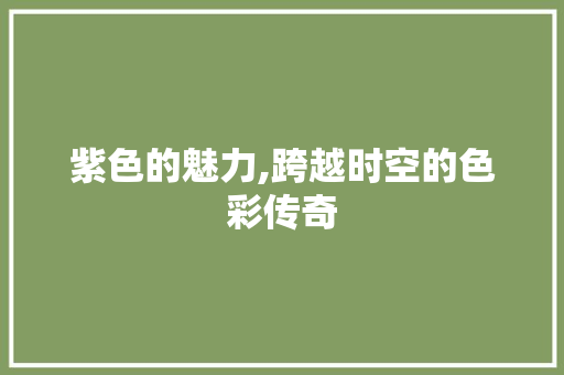 紫色的魅力,跨越时空的色彩传奇