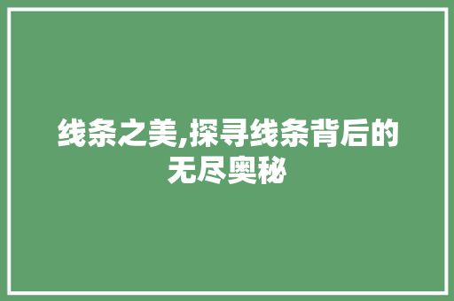 线条之美,探寻线条背后的无尽奥秘