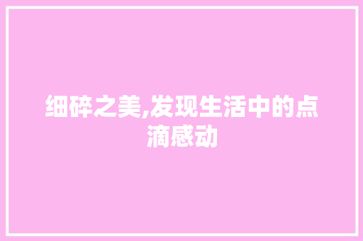 细碎之美,发现生活中的点滴感动
