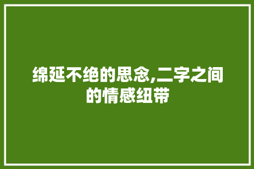 绵延不绝的思念,二字之间的情感纽带