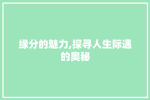 缘分的魅力,探寻人生际遇的奥秘
