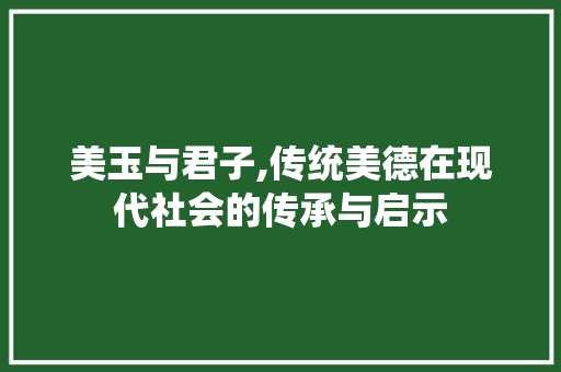 美玉与君子,传统美德在现代社会的传承与启示